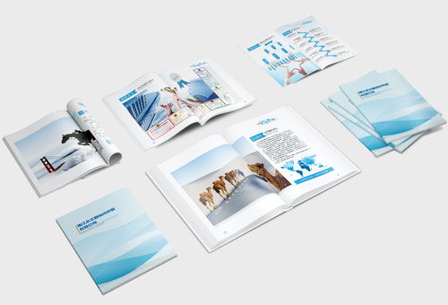 企業(yè)畫冊 公司簡介 產品畫冊 科技畫冊 商務畫冊